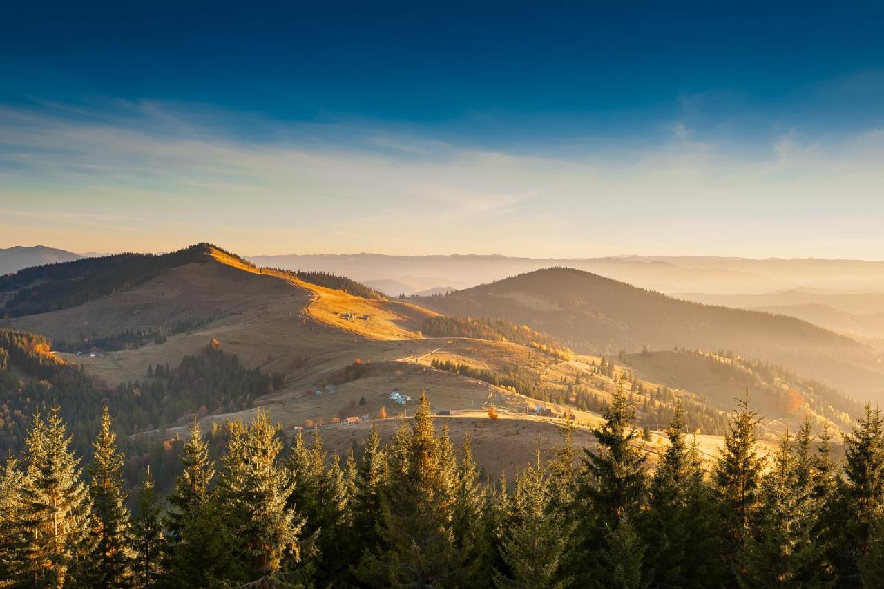 Villa Хата Різьбяра Byalobereska Esterno foto